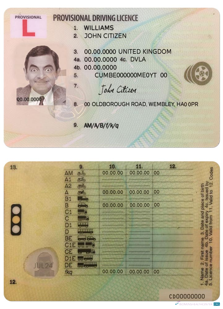 download United Kingdom provisional driving license